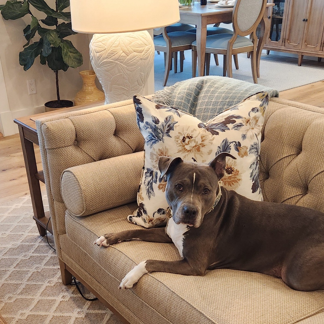 Reality Check: Owning How You Actually Live in Your Space