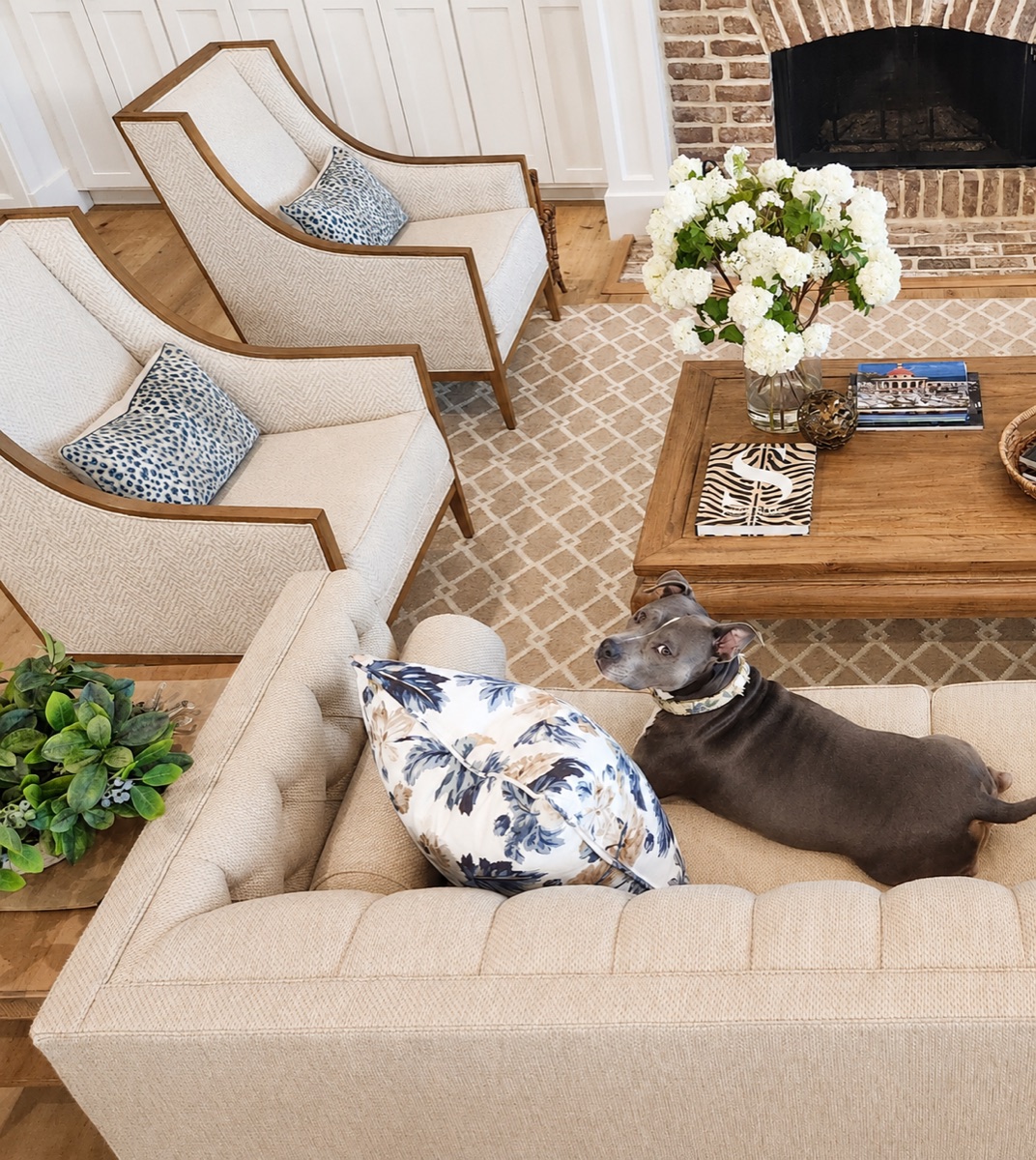 Hampton Lake dog friendly domicile with pet friendly fabrics